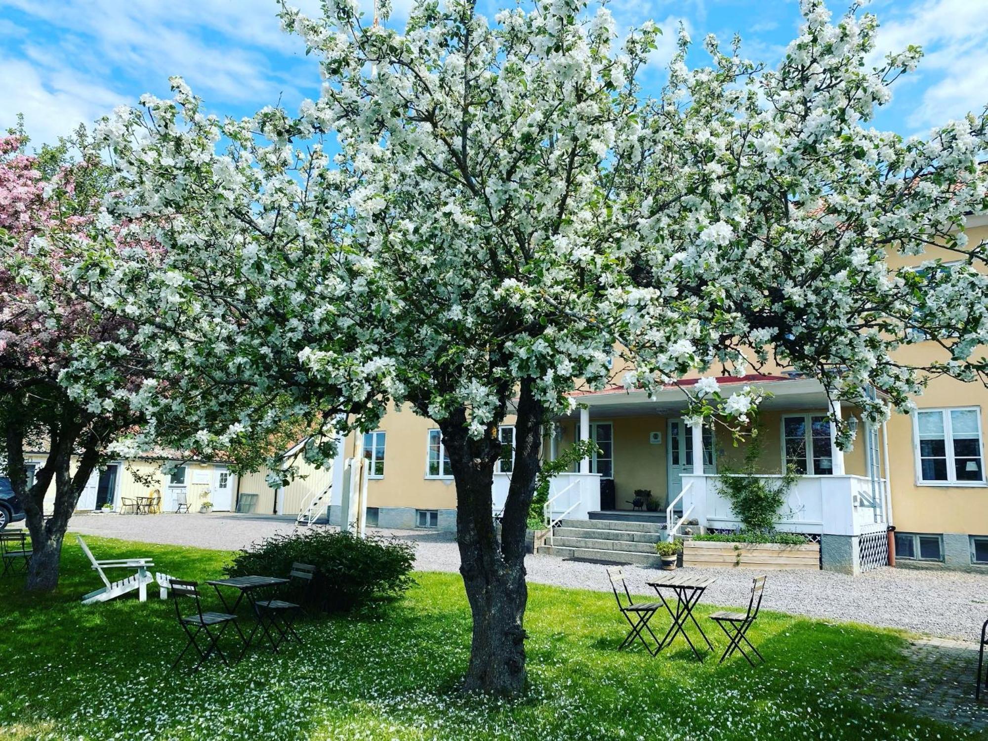 Vadstena Vandrarhem-Hostel Buitenkant foto